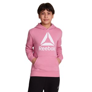Reebok Kids' Unisex Game Day Fleece Hoodie