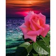 thumbnail image 1 of Taladro de pintura de diamante (DB5198) 5D DIY Rose Full Round Rhinestone Art FH461 45x60cm Hugtrwg Para estrenar, 1 of 1