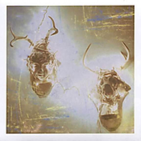 Minus Story - Heaven and Hell - Music & Performance - CD