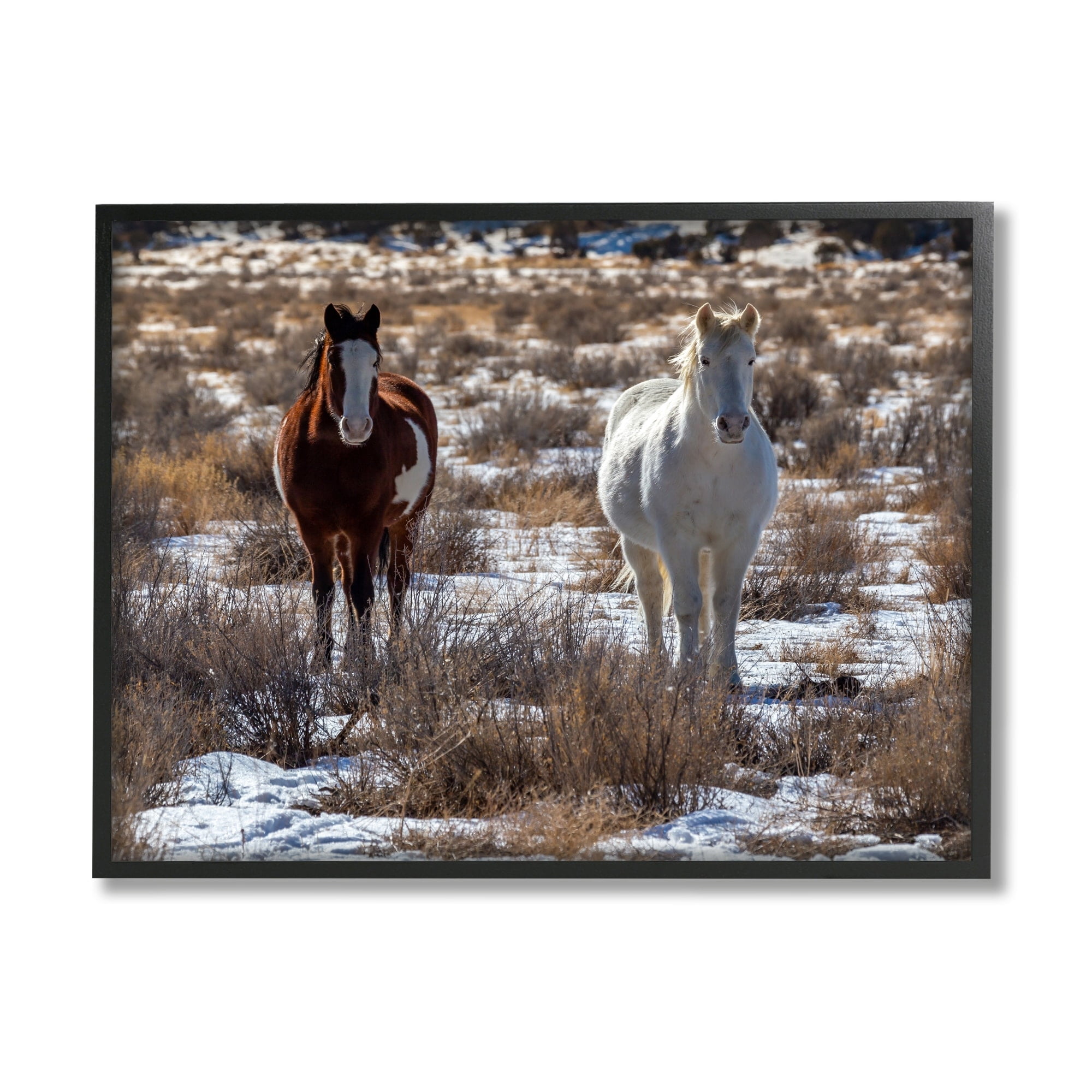 Stupell Industries Pair Horses Walking Through Snow Dusted Grassland Photograph Black Framed Art Print Wall Art, Design by Jeff Poe Photography