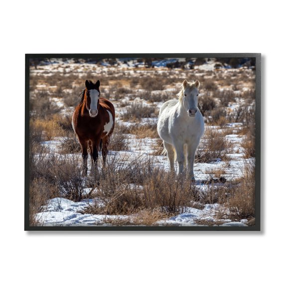 Stupell Industries Pair Horses Walking Through Snow Dusted Grassland Photograph Black Framed Art Print Wall Art, Design by Jeff Poe Photography