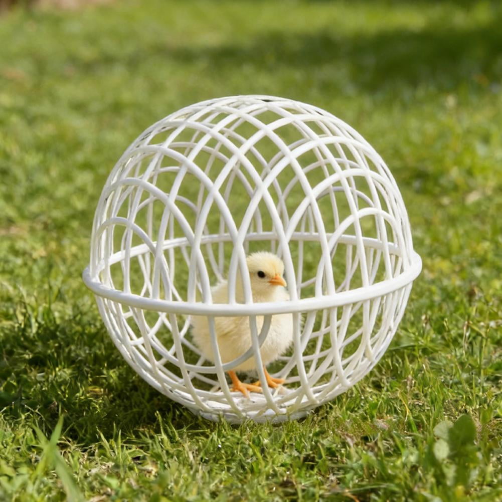 Pet Exercise Ball for Chickens & Pigeons, Mobile Exercise Sphere Coop for Small Animals, 12"/16"/20" Available