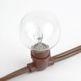 thumbnail image 4 of Novelty Lights Clear Incandescent Globe Outdoor String Lights with 25 Bulbs G30 Vintage Bulbs Brown Wire 25 Feet, 4 of 7
