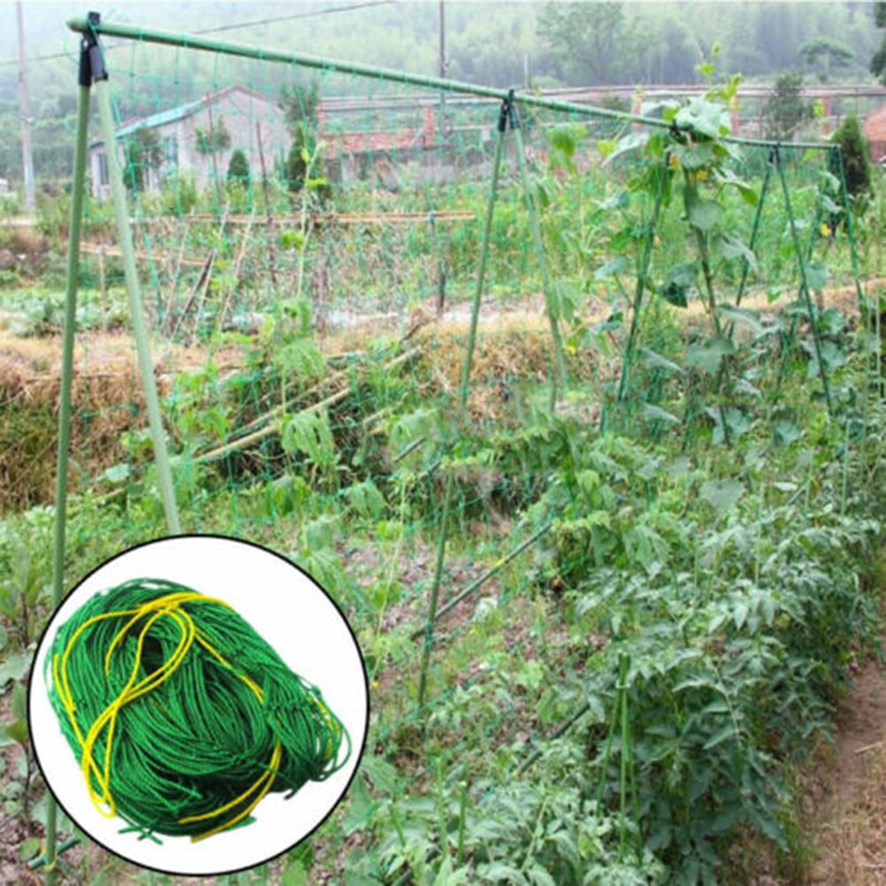 Climbing Plant  Support Mesh Garden Net Netting Clematis Pea Bean Trellis 