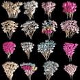thumbnail image 1 of 50Pcs Colorful Cake Topper Star Heart Cupcake Toppers Birthday Party Plug-in Cake Decor Baby Shower Wedding Baking Supplieslove rose redUnited States He Qiyong unisex, 1 of 1