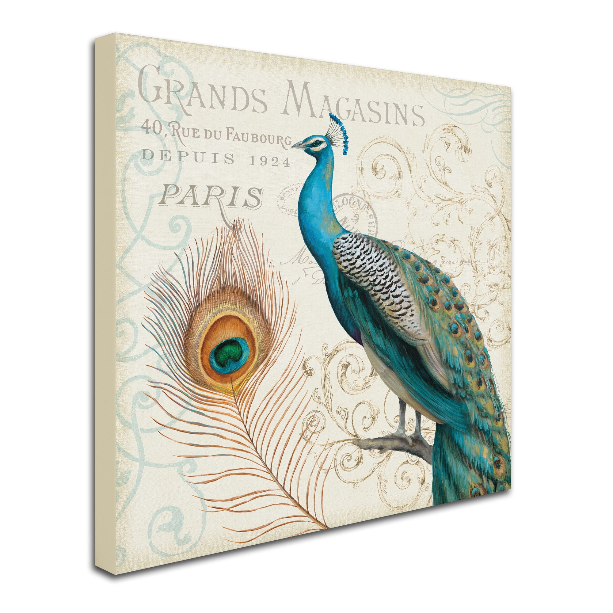 Trademark Fine Art "Majestic Beauty II Square" Canvas Art by Daphne Brissonnet