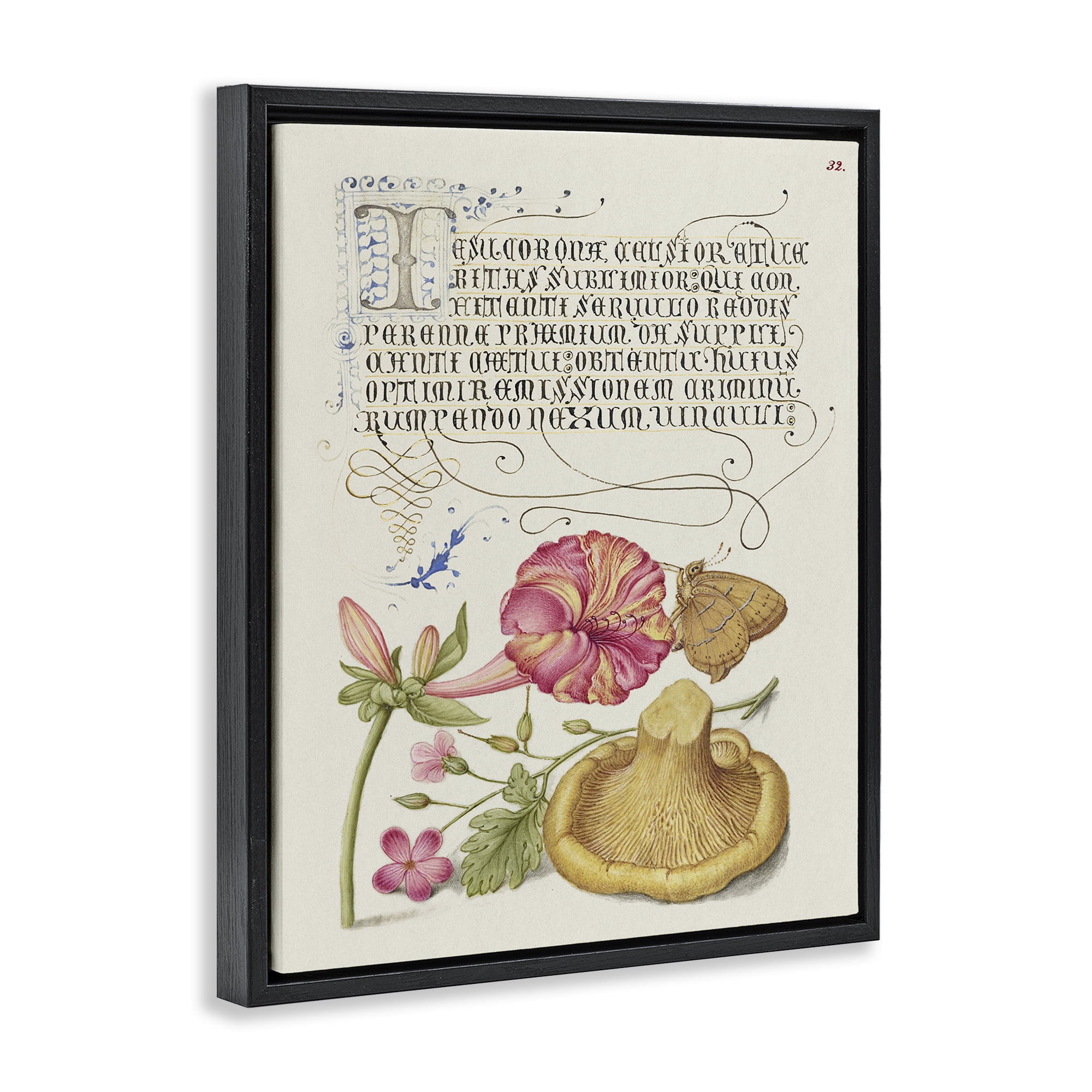 Stupell Industries Woodland Wildlife Study Text & Numbers Painting Black Floater Framed Canvas Art Print Wall Art, 17 x 21