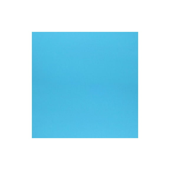 Cdstk Textured 12x12 73lb 1000pc Box Popsicle Blue