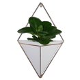 thumbnail image 3 of 2 Pcs/set Hanging Vases Geometric Wall Decoration Container For Succulent Plants Mini Cactus, 3 of 4