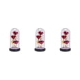 thumbnail image 2 of Cateissary Rose Flower In Day Light LED Valentine's Decor Type1 NO1, 2 of 6