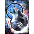 thumbnail image 1 of Taladro de pintura de diamante (DE4526) 5D lobo atrapasueños DIY Animal completo punto de cruz 30x40cm Hugtrwg Para estrenar, 1 of 1