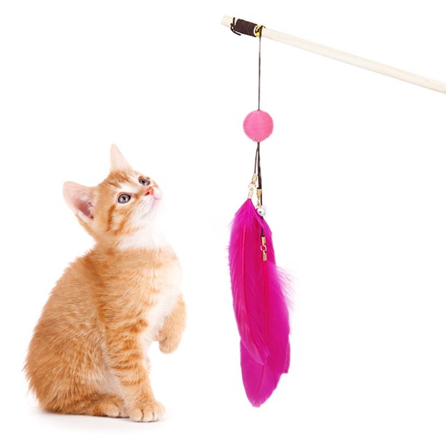 Kitten Wand Faux Feather Interactive Kitten Teaser Wand Cat Toy Wand with Ball