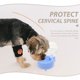 thumbnail image 3 of AURARMLET 1Jgo Bebedero Automático Para Mascotas Con Y Capacidad Amplia Color Azul, 3 of 8