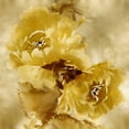 thumbnail image 2 of Stevens, Jesse 12x12 White Modern Wood Framed Museum Art Print Titled - Flower Bloom on Gold II, 2 of 4