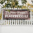 thumbnail image 4 of Farm Fresh Blackberries Banner Sign 18 Inch x 48 Inch | 13 oz Vinyl with Metal Grommets | Heavy-Duty Single-Sided Outdoor Durable Printed High-Quality Weatherproof | Made in the USA, 4 of 6
