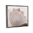 thumbnail image 3 of Stupell Beach Life Conch Shell Photography Landscape Photography Gray Floater Framed Art Print Wall Art, 3 of 6
