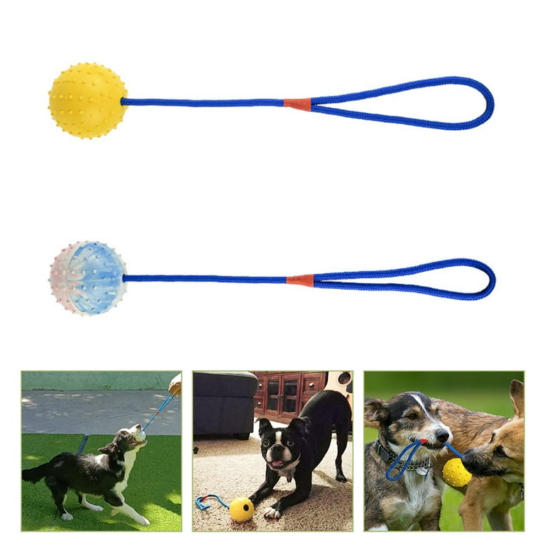 Dog Toys Assorted Play Bundle Puppy Pet Ropes Chew Squeaky Fetch Balls  Training