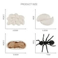thumbnail image 4 of 3 juegos de de de crecimiento de animales para , juguete, material didáctico natural Hugo  Juego de crecimiento de insectos para niños, 4 of 7