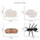 thumbnail image 3 of Juego de crecimiento de insectos para niños,Ayudas para la enseñanza del ciclo de crecimiento animal,Juguete educativo temprano,Ayudas para la enseñanza de la naturaleza,Proceso de, 3 of 7