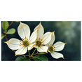 thumbnail image 1 of Beautiful White Flower Themed Backdrop Banner Party Decorations Background Photo Props for Garden Parties Spring Celebrations Weddings and Indoor Decor, 1 of 4