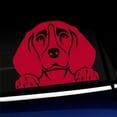 thumbnail image 1 of Peeking Beagle - Vinyl Car Decal - Choose Color - [RED], 1 of 1