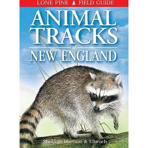 Pre-Owned Animal Tracks of New England (Paperback) 1551052466 9781551052465