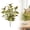 Green, variant on Artificial Long Perilla Leaf Stem, Natural Green Faux Greenery, Versatile Plant for indoor & Outdoor Use, Ideal for Vase Arrangements, Garden Planters and Balcony Displays