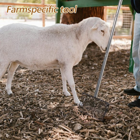 FUTUREORYY Metálica Para Trabajo Agrícola Y Limpieza De Gallineros Con Mango Ergonómico Plateado