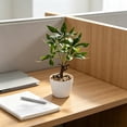 thumbnail image 5 of Artificial Money Tree Bonsai, 9.84 in Faux Potted Plants for Desk Shelf Office Bathroom Decor, Green, 5 of 6