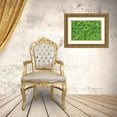 thumbnail image 3 of Mahan, Kathy 14x11 Gold Ornate Wood Framed with Double Matting Museum Art Print Titled - Dew Covered Oxalis, 3 of 4