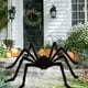 thumbnail image 5 of Decoración de Halloween BILLMOSS Araña gigante y peluda, 5 of 7