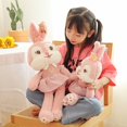 thumbnail image 2 of Comfortable/Soft/Cute/Rabbit Plush Toy/Star Delu Rabbit Cartoon Doll with Skirt and Hair Clip/Girl's Birthday Giftpink50cm Deng Xun unisex, 2 of 2