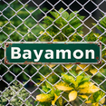 thumbnail image 2 of Tin Signs - 16x4 Inches Bayamon Urban Retro Sign - Perfect for Bedroom, Garage, Bar | Street Signs for Bedroom, Funny Room Decor, Mens Wall Decor, 2 of 4