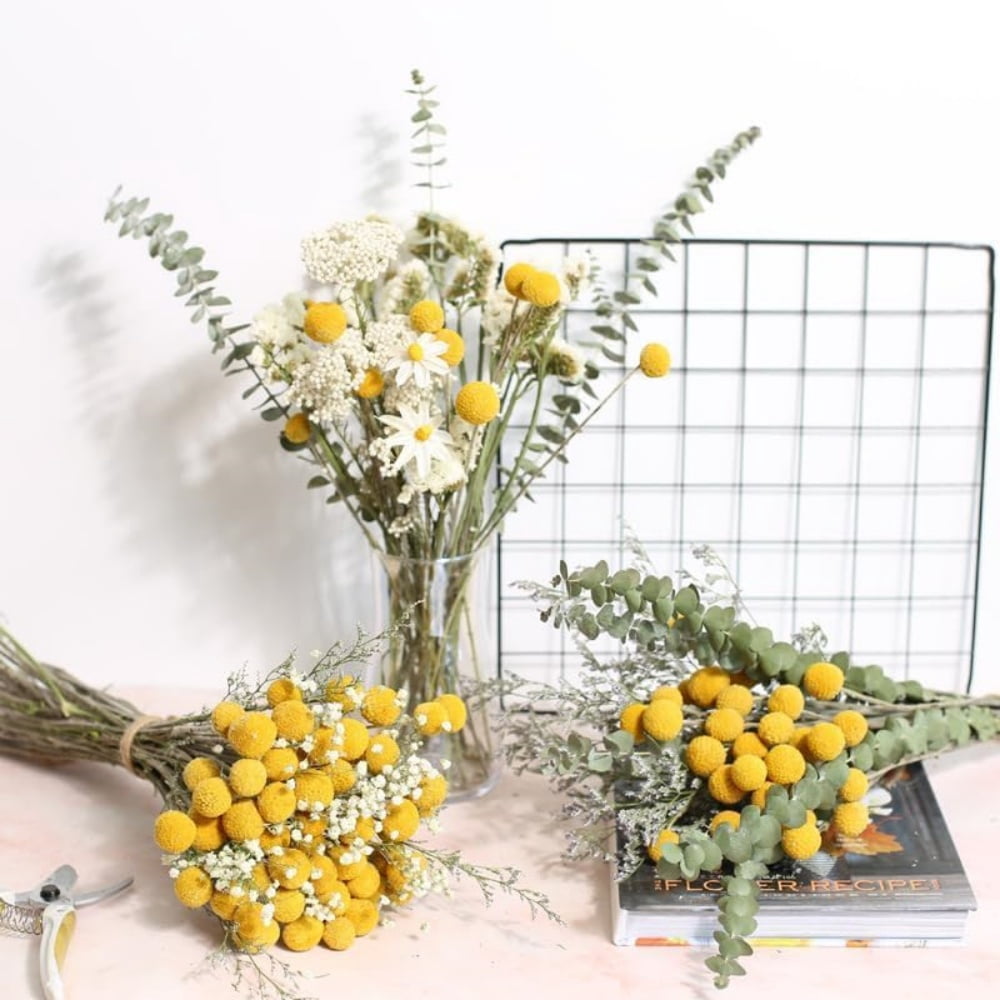 60Pcs Natural Craspedia Globosa Flowers Billy Balls Boho Flower Bouquet Floral Arrangements for Wedding Home Party Office Decor (Yellow)