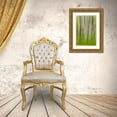 thumbnail image 3 of Paulson, Don 23x32 Gold Ornate Wood Framed with Double Matting Museum Art Print Titled - Alder tree abstract, 3 of 4