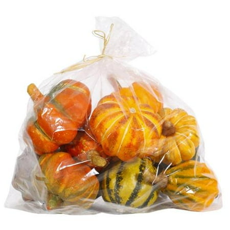 Set of 6 Colorful Artificial Autumn Fall Halloween Gourds 3"