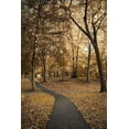 thumbnail image 2 of Orlando 23x32 Gold Ornate Wood Framed with Double Matting Museum Art Print Titled - Wooded Path, 2 of 4