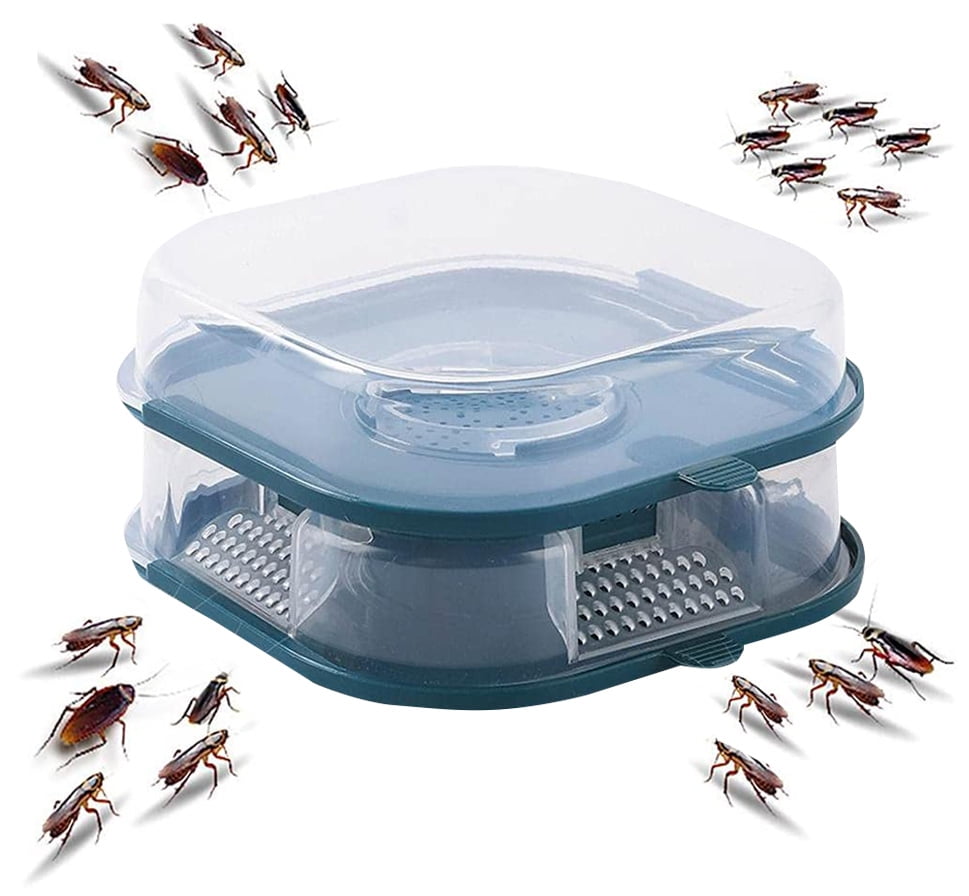 Cockroach Trap Household Cockroach Box Clear Cockroach Trap Cockroach Catch  Box In Kitchen And Bathroom - Walmart.com