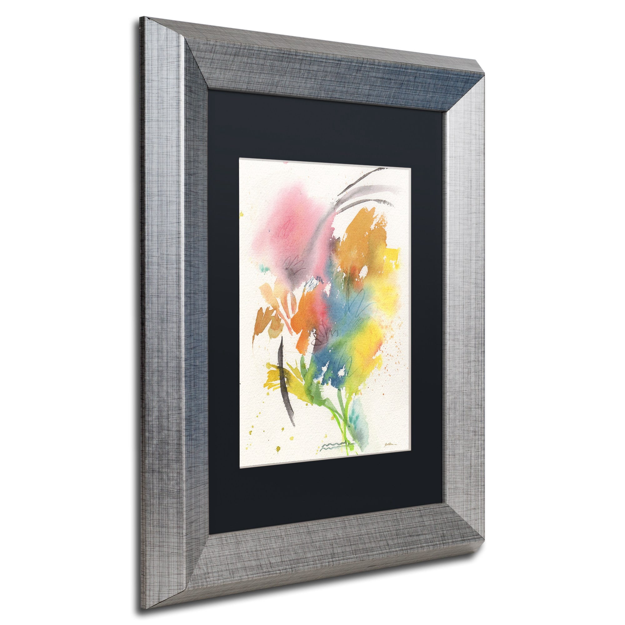 Trademark Fine Art "Rainbow Bouquet" Canvas Art by Sheila Golden, Black Matte, Silver Frame