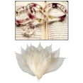 thumbnail image 4 of Arte de hojas de de para la decoración de de bricolaje Caja de de adorno de fabricación de tarjetas - magnolia Magnolia Gloria Hojas de esqueleto, 4 of 9