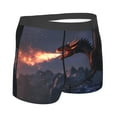 thumbnail image 3 of Daiia Fire Breathing Dragon Twilight Men's Underwear Boxer Briefs, Cotton Stretch Moisture-Wicking Underwear-Large, 3 of 9