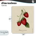 thumbnail image 4 of Stupell Industries Cottage Strawberry Fruit Portrait Canvas Art, 24 x 30, by Danielle Murray, 4 of 8