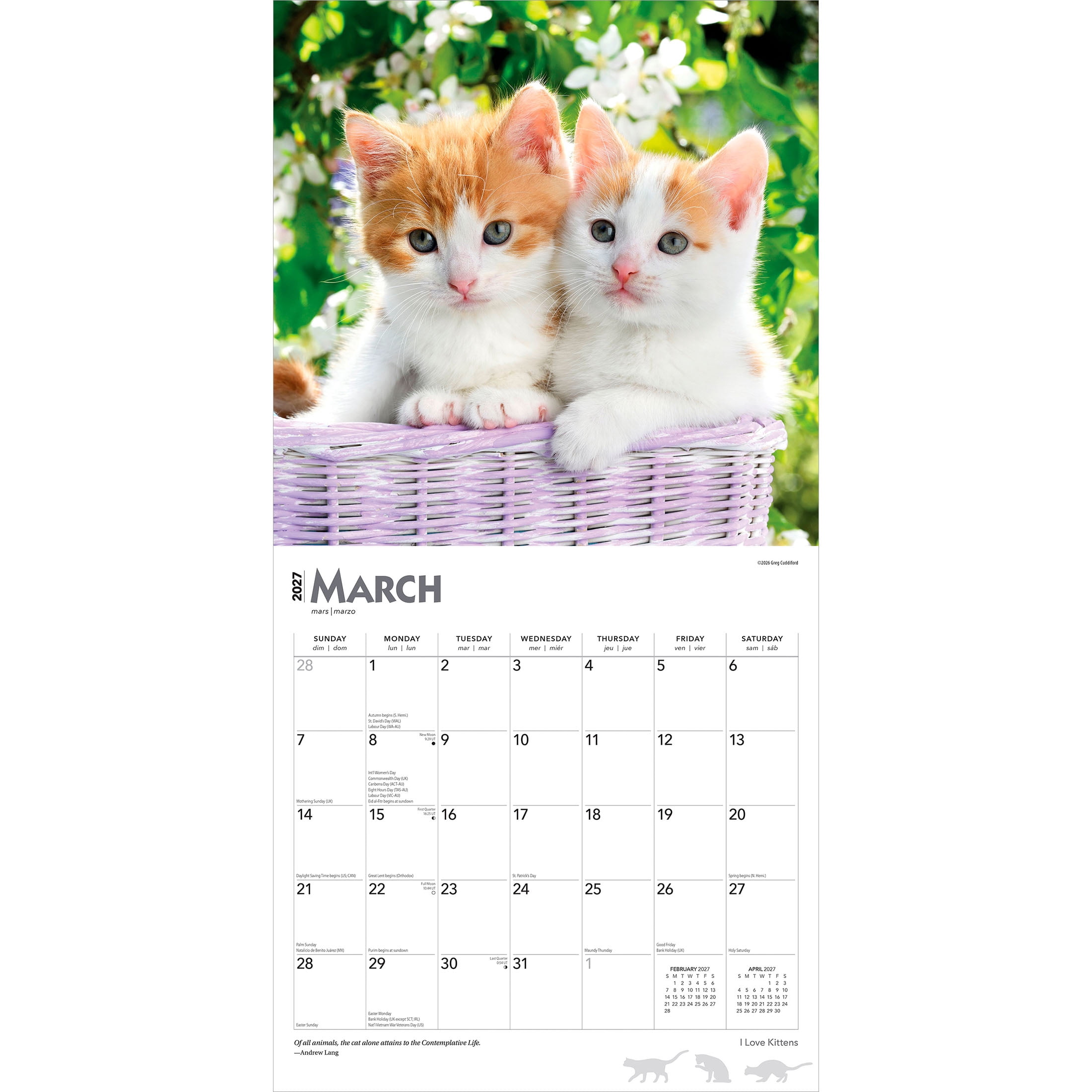 Kittens, I Love 2027 Square