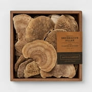 Unscented Dried Mushroom Vase Filler Natural - Smith & Hawken