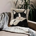 thumbnail image 4 of Euaioeiu Cute Cat Pillowcase with Hidden Zipper, Soft Plush Decorative Throw Pillow Cover, Cozy Home Decor for Bedroom Sofa Living Room, Cuddly Pet Lover Gift, 4 of 6