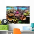 thumbnail image 1 of Corals Aquarium Wall Mural by Wallmonkeys Peel and Stick Graphic (36 in W x 27 in H) WM18341, 1 of 4