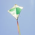 thumbnail image 5 of In the Breeze Dino 30-inch Diamond Kite - Fun, Easy Flying Kite, 5 of 7