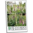 thumbnail image 2 of Foxglove Flower Seeds (Digitalis) – 5500+ Heirloom Non-GMO Seeds by Isla’s Garden Seeds, Ideal for Planting, Beautiful Blooms for Gardens and Landscaping, 2 of 7