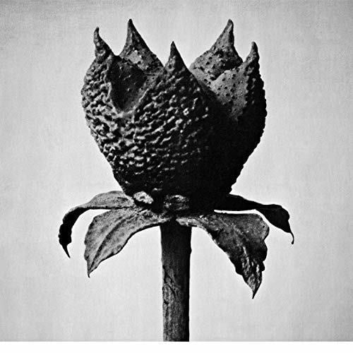 Masayoshi Fujita - Book Of Life - Electronica - CD