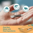 thumbnail image 6 of ZingZap Roach Glue Trap Cantaloupe 13-Pack, Capsulated Natural Ingredients Bait, 2X Faster Catch, Sticky Glue Trap for Roaches, Ants, Millipedes, Silverfish & Beetles, Children-&-Pet-Safe, 6 of 8